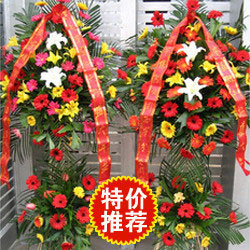 _I(y)c仨@1